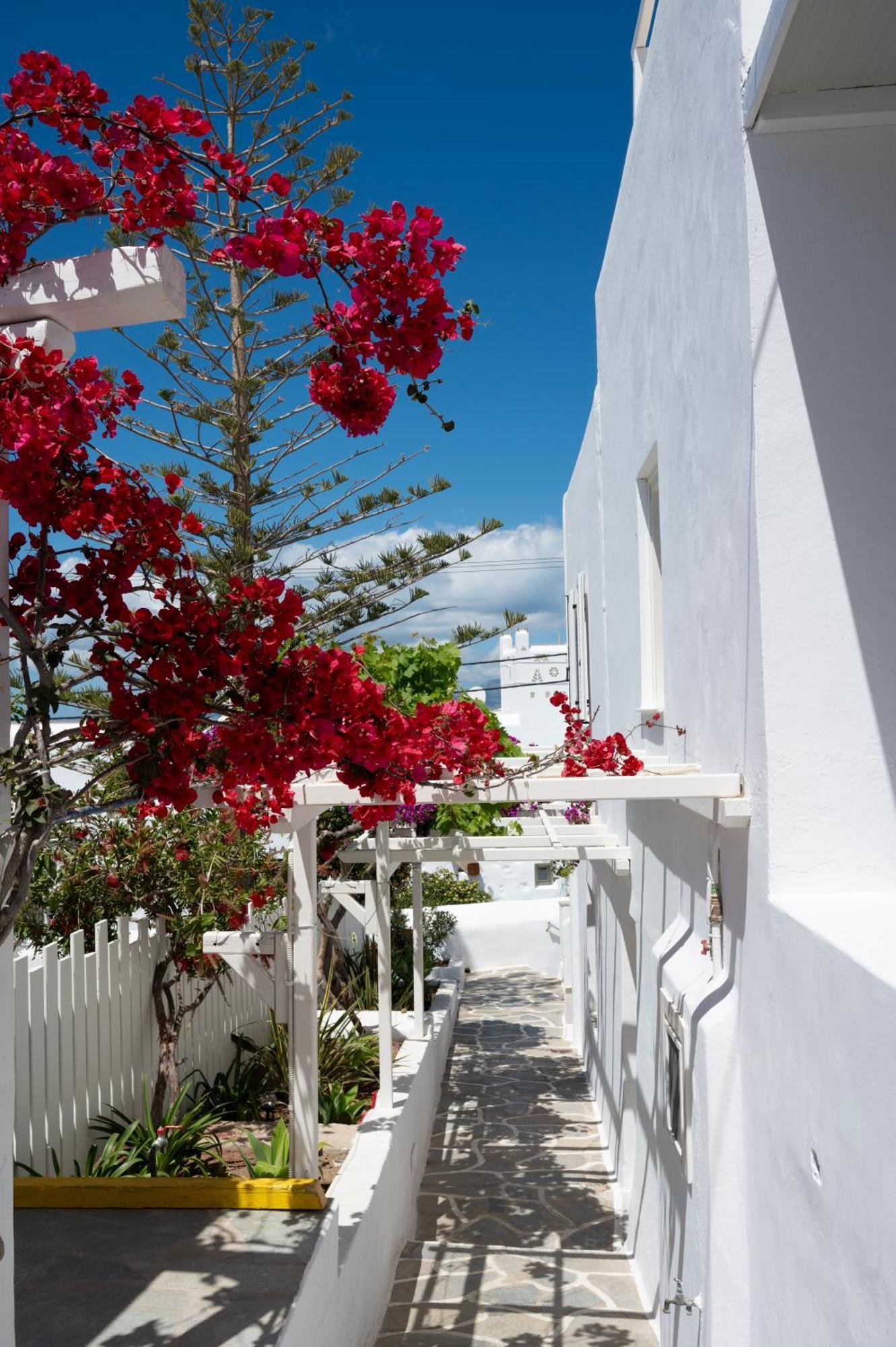 Boutique Di Vito Hotel Mykonos Town Exterior foto