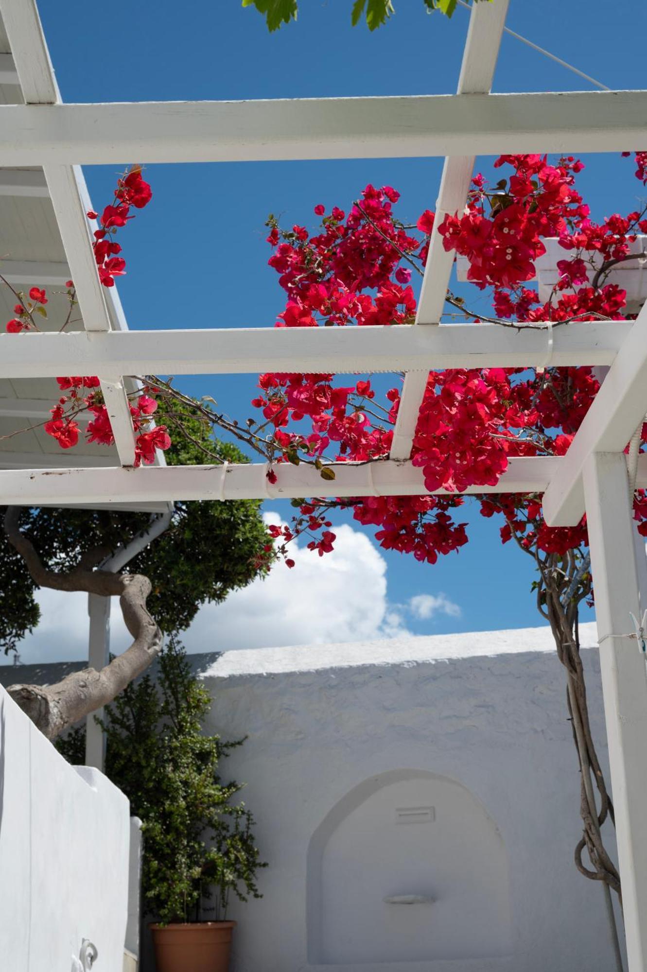 Boutique Di Vito Hotel Mykonos Town Exterior foto