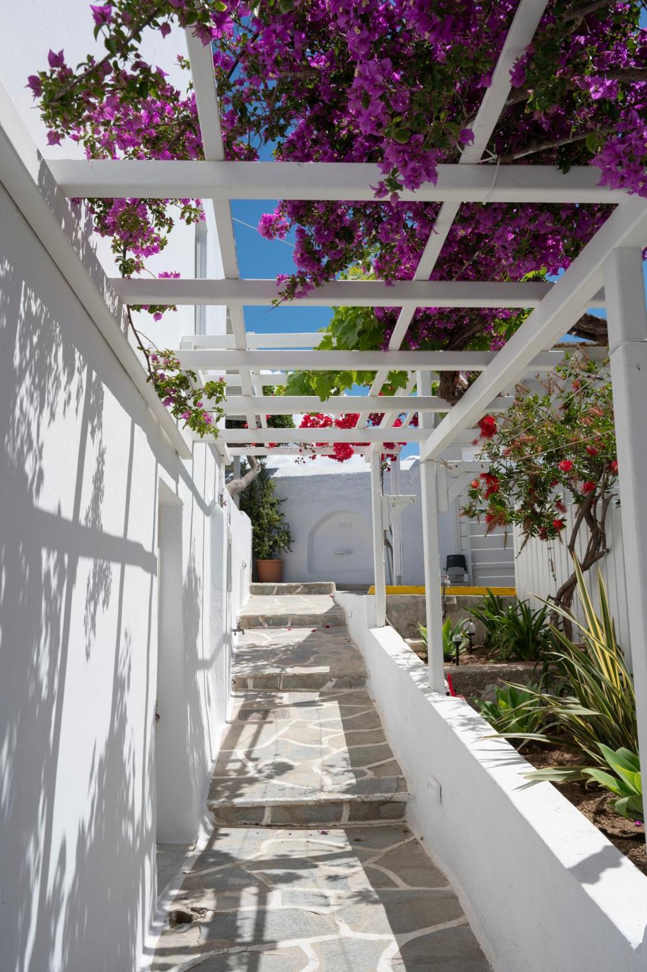 Boutique Di Vito Hotel Mykonos Town Exterior foto