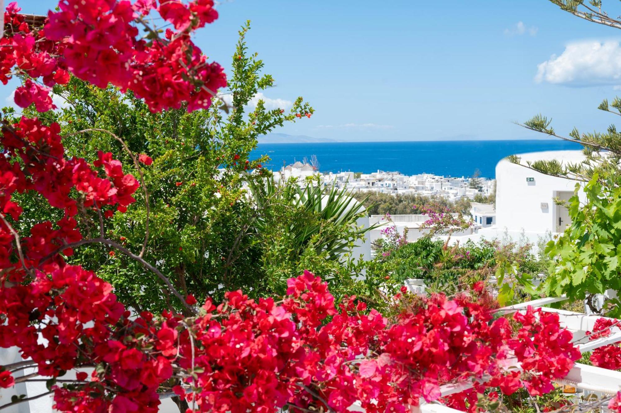 Boutique Di Vito Hotel Mykonos Town Exterior foto